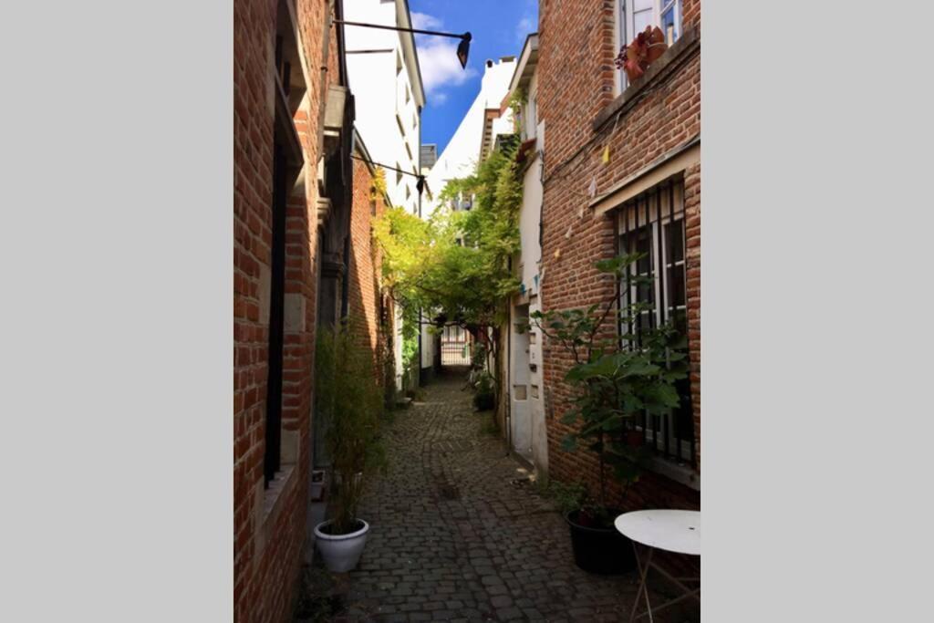 En Plein Coeur De Bruxelles. Superbe Duplex.A Voir! Eksteriør billede