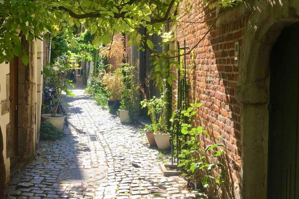 En Plein Coeur De Bruxelles. Superbe Duplex.A Voir! Eksteriør billede