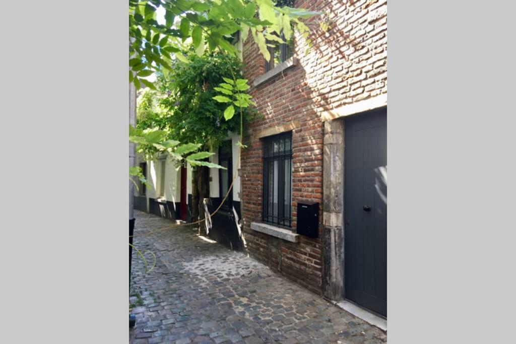 En Plein Coeur De Bruxelles. Superbe Duplex.A Voir! Eksteriør billede